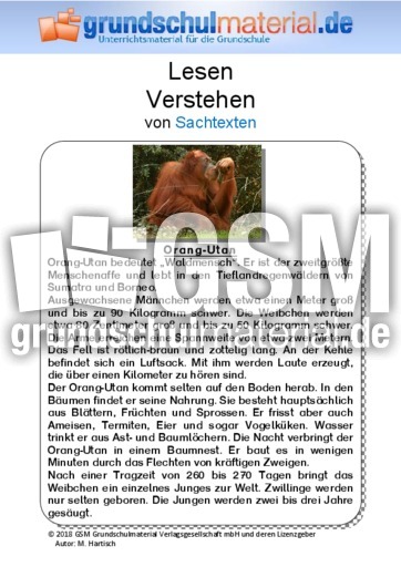 Orang-Utan - Sachtext.pdf